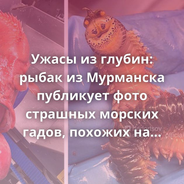 Ужасы из глубин: рыбак из Мурманска публикует фото страшных морских гадов, похожих на инопланетных чудищ