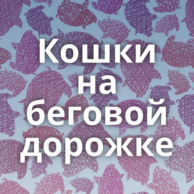 Кошки на беговой дорожке