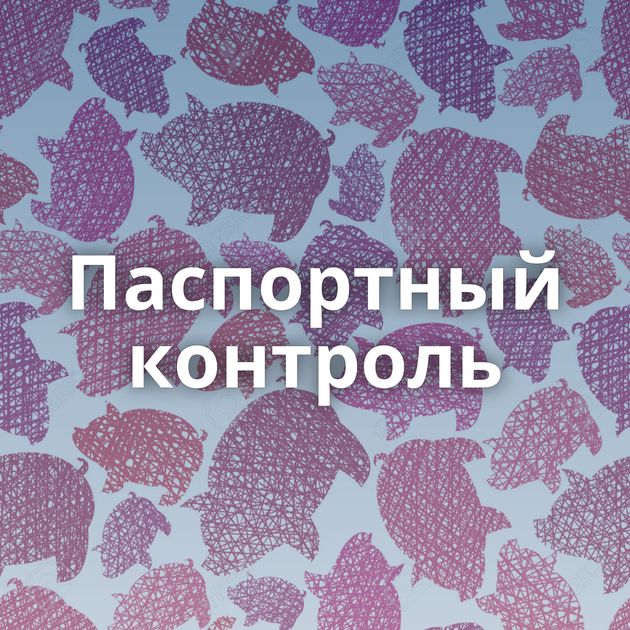 Паспортный контроль