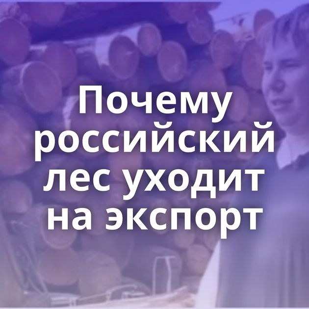 Почему российский лес уходит на экспорт