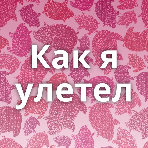 Как я улетел