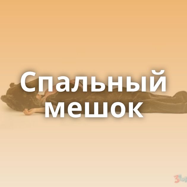 Спальный мешок