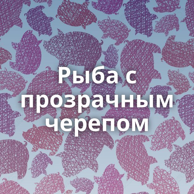 Рыба с прозрачным черепом