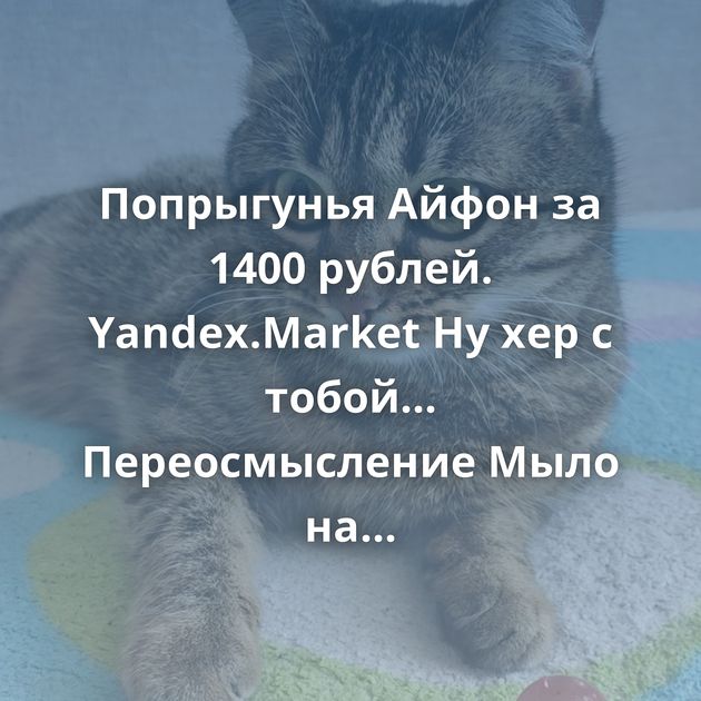 Попрыгунья Айфон за 1400 рублей. Yandex.Market Ну хер с тобой... Переосмысление Мыло на зиму Что такое логин?…