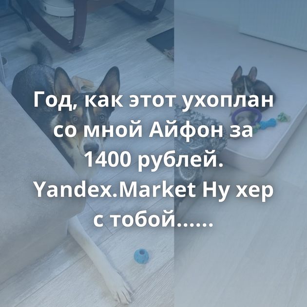 Год, как этот ухоплан со мной Айфон за 1400 рублей. Yandex.Market Ну хер с тобой... Переосмысление Мыло на зиму Что…