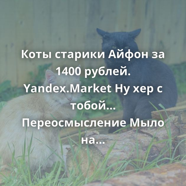 Коты старики Айфон за 1400 рублей. Yandex.Market Ну хер с тобой... Переосмысление Мыло на зиму Что такое логин?…