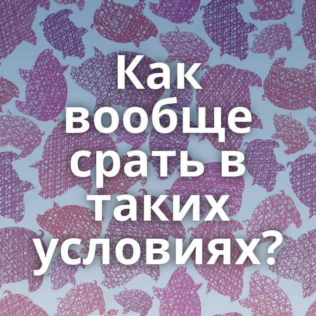 Как вообще срать в таких условиях?