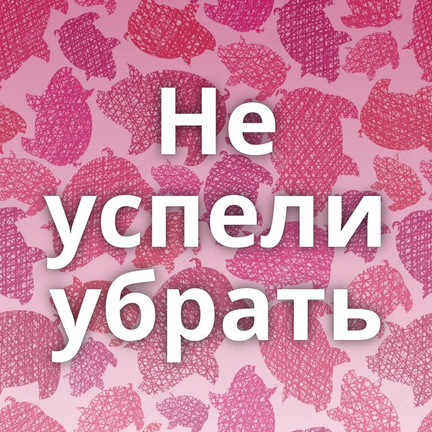 Не успели убрать