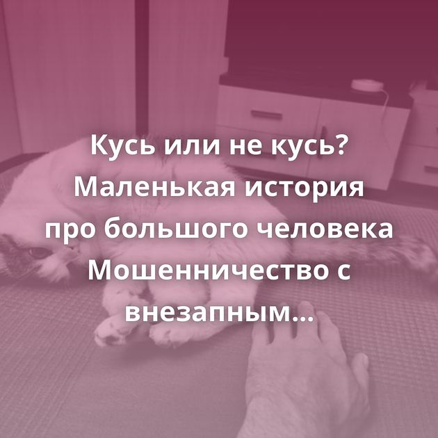 Кусь или не кусь? Маленькая история про большого человека Мошенничество с внезапным наследством из-за…