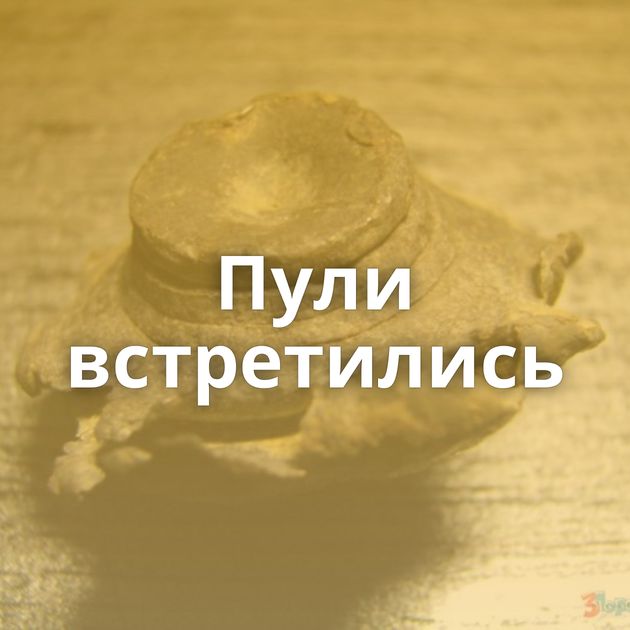 Пули встретились