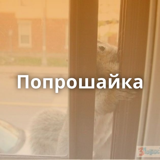 Попрошайка