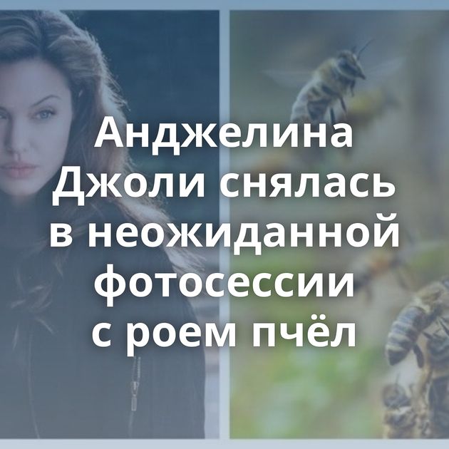 Анджелина Джоли снялась в неожиданной фотосессии с роем пчёл