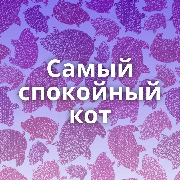 Самый спокойный кот
