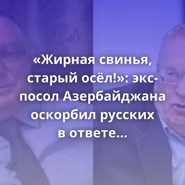 «Жирная свинья, старый осёл!»: экс-посол Азербайджана оскорбил русских в ответе Жириновскому