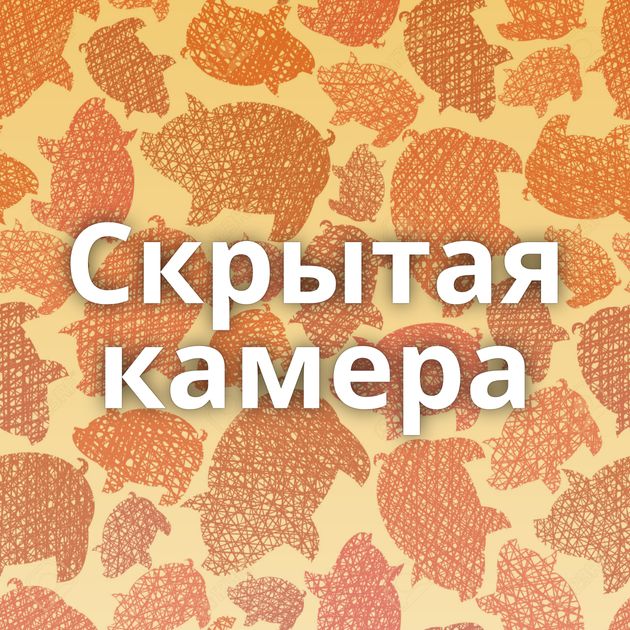 Скрытая камера