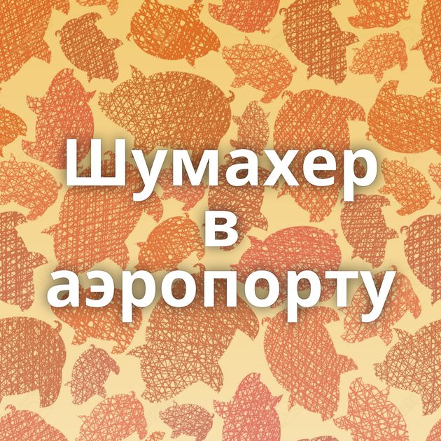 Шумахер в аэропорту