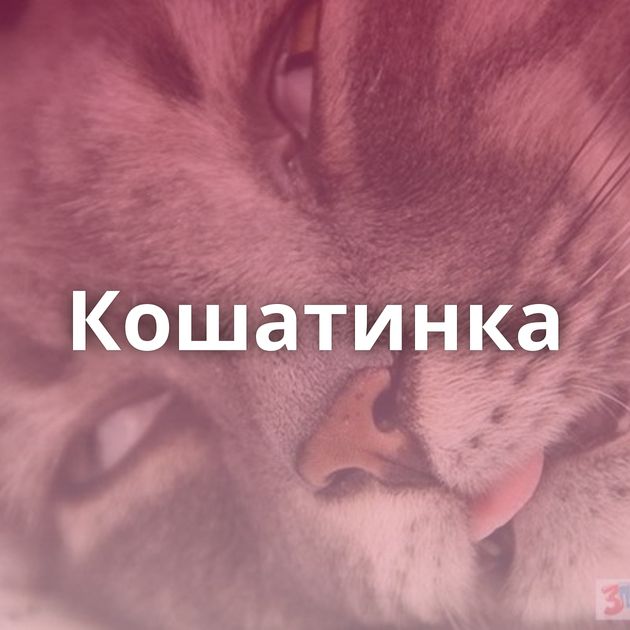 Кошатинка