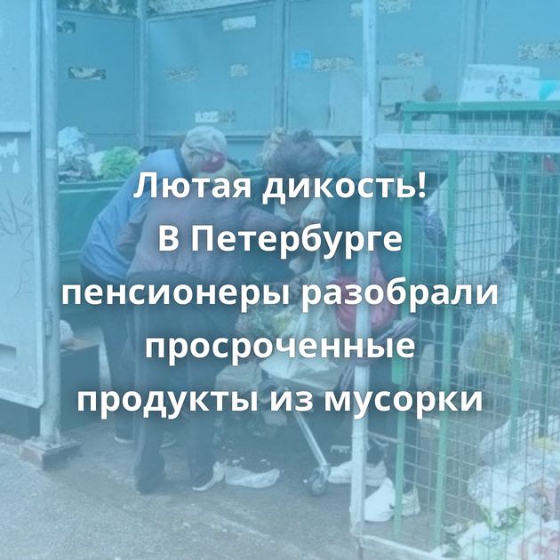 Лютая дикость! В Петербурге пенсионеры разобрали просроченные продукты из мусорки