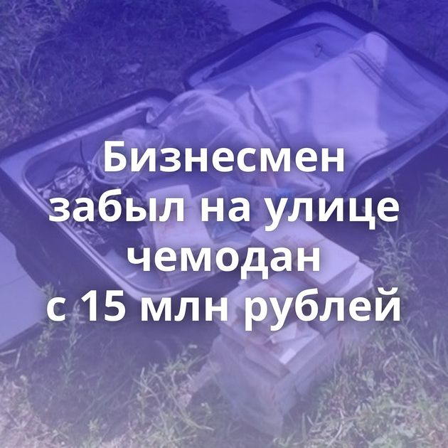 Бизнесмен забыл на улице чемодан с 15 млн рублей