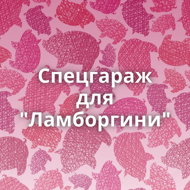Спецгараж для 