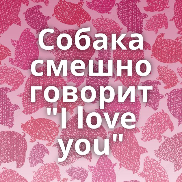 Собака смешно говорит 