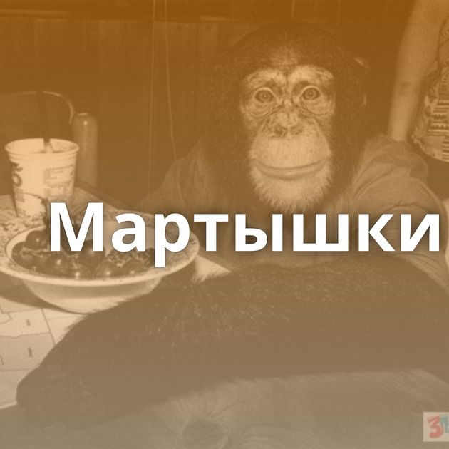 Мартышки