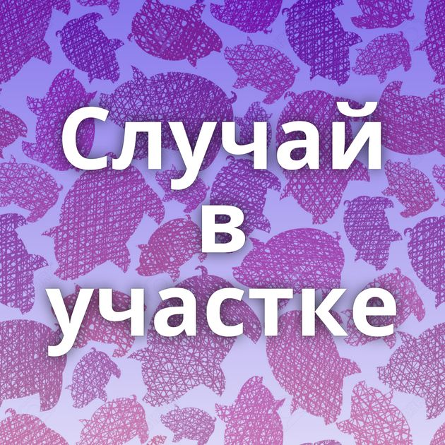 Случай в участке