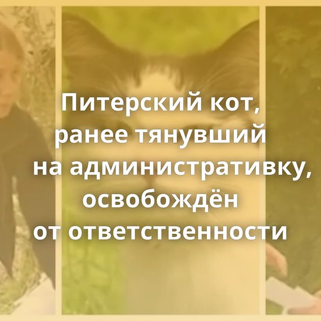 Питерский кот, ранее тянувший на административку, освобождён от ответственности