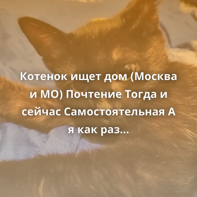 Котенок ищет дом (Москва и МО) Почтение Тогда и сейчас Самостоятельная А я как раз несколько посылок жду...…