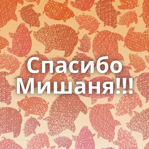 Спасибо Мишаня!!!