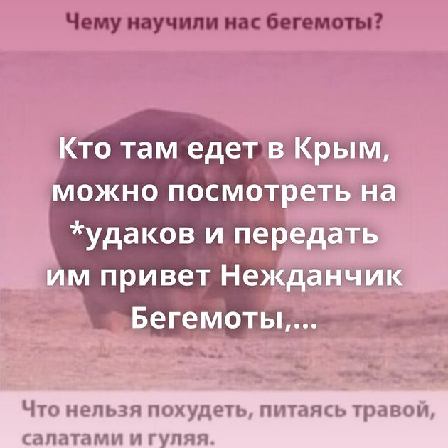Кто там едет в Крым, можно посмотреть на *удаков и передать им привет Нежданчик Бегемоты, они такие... Фактор…