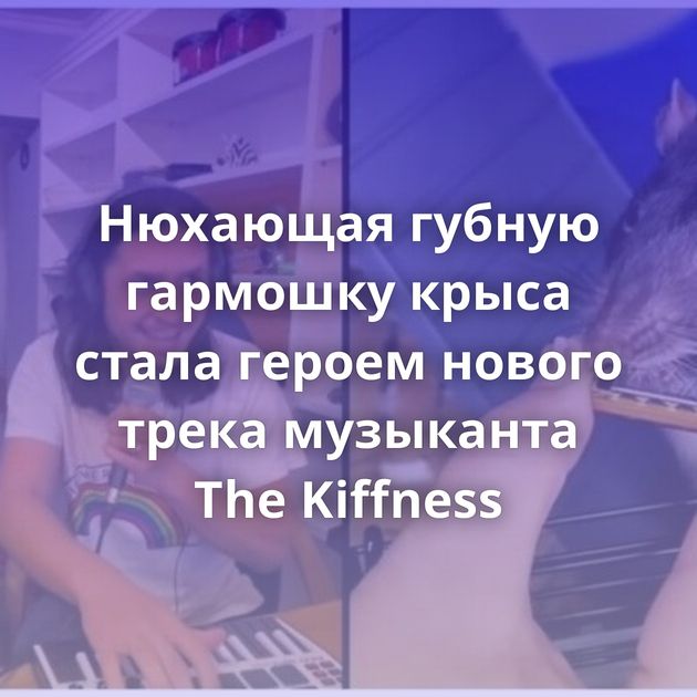 Нюхающая губную гармошку крыса стала героем нового трека музыканта The Kiffness