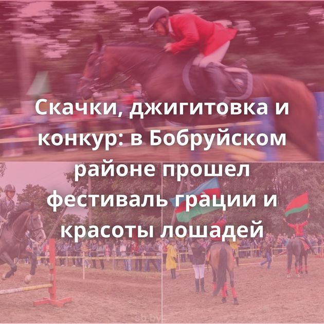 Скачки, джигитовка и конкур: в Бобруйском районе прошел фестиваль грации и красоты лошадей