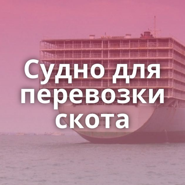 Судно для перевозки скота