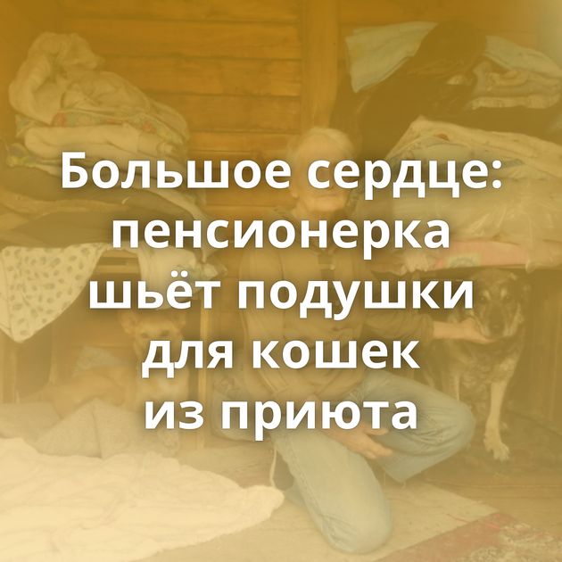 Большое сердце: пенсионерка шьёт подушки для кошек из приюта
