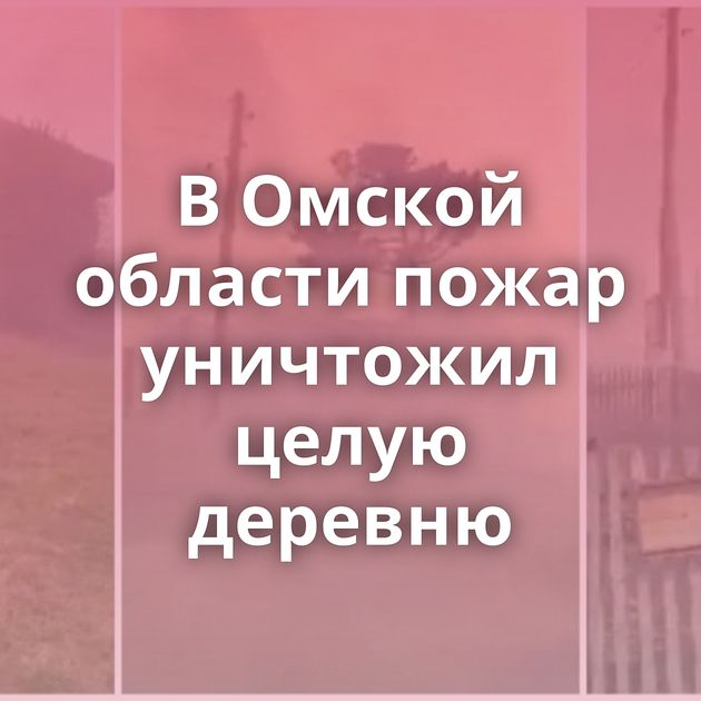 В Омской области пожар уничтожил целую деревню