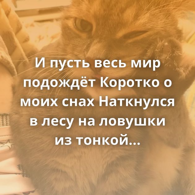 И пусть весь мир подождёт Коротко о моих снах Наткнулся в лесу на ловушки из тонкой проволоки, которые…