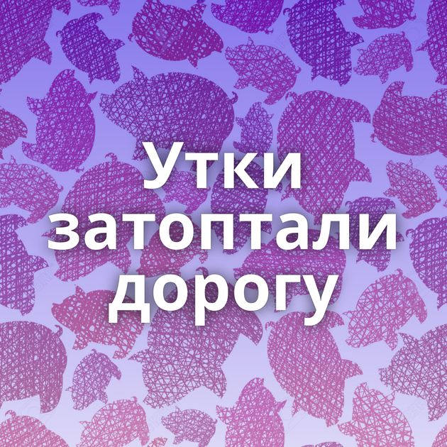 Утки затоптали дорогу
