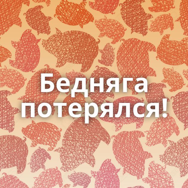 Бедняга потерялся!