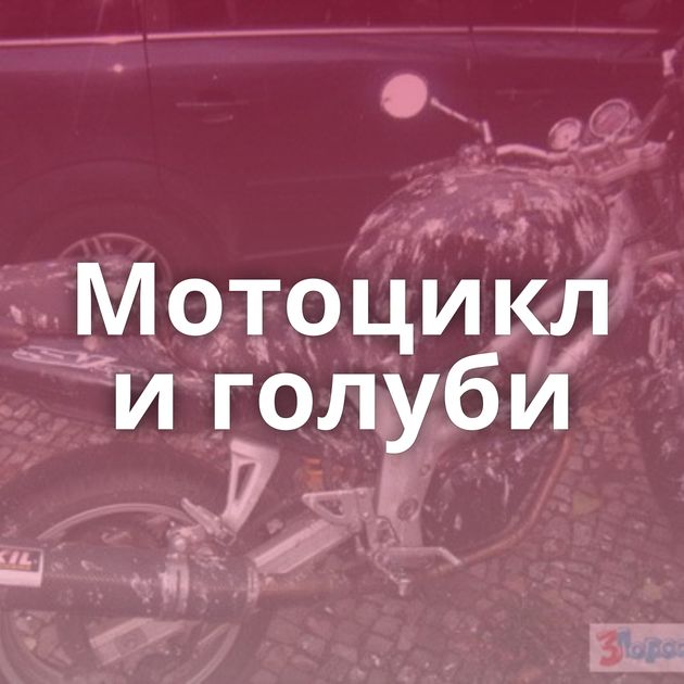 Мотоцикл и голуби