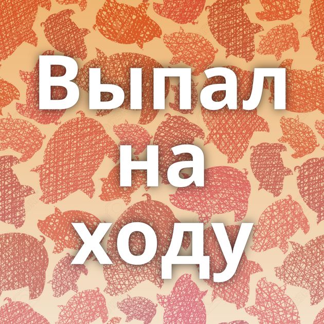 Выпал на ходу