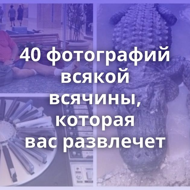 40 фотографий всякой всячины, которая вас развлечет