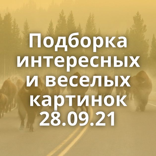 Подборка интересных и веселых картинок 28.09.21