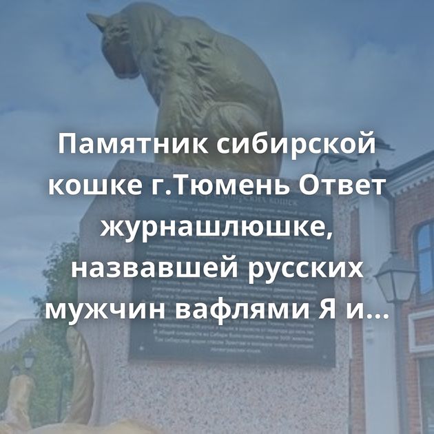 Памятник сибирской кошке г.Тюмень Ответ журнашлюшке, назвавшей русских мужчин вафлями Я и мой бро, когда…