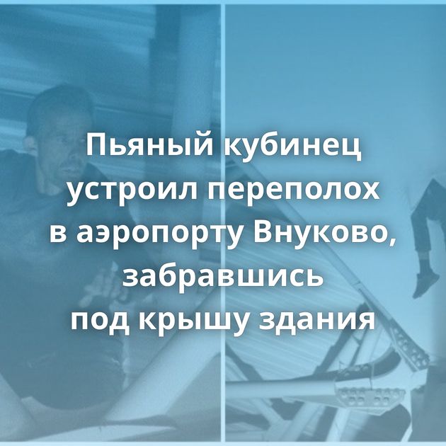 Пьяный кубинец устроил переполох в аэропорту Внуково, забравшись под крышу здания