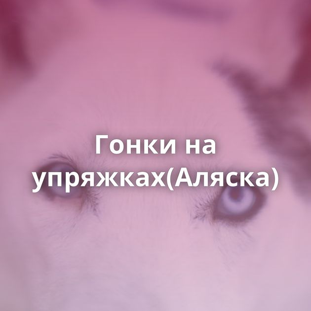 Гонки на упряжках(Аляска)