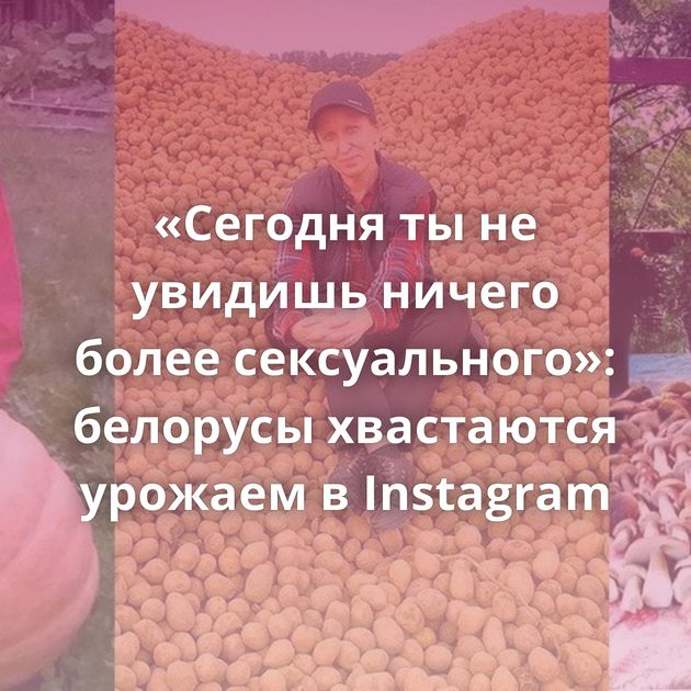 «Сегодня ты не увидишь ничего более сексуального»: белорусы хвастаются урожаем в Instagram