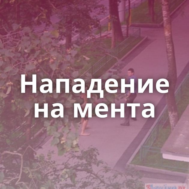Нападение на мента