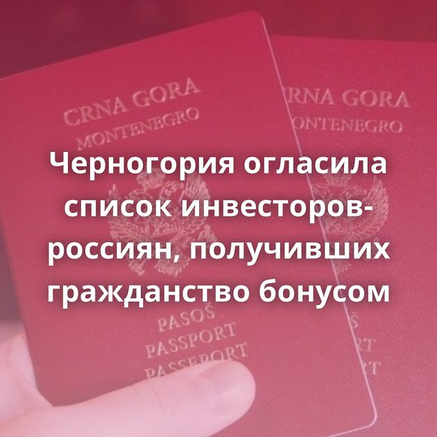 Черногория огласила список инвесторов-россиян, получивших гражданство бонусом