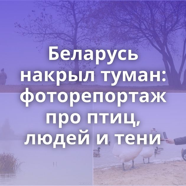 Беларусь накрыл туман: фоторепортаж про птиц, людей и тени